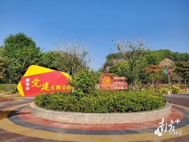廢棄礦山變綠地公園！中山鯉魚(yú)山換上新顏